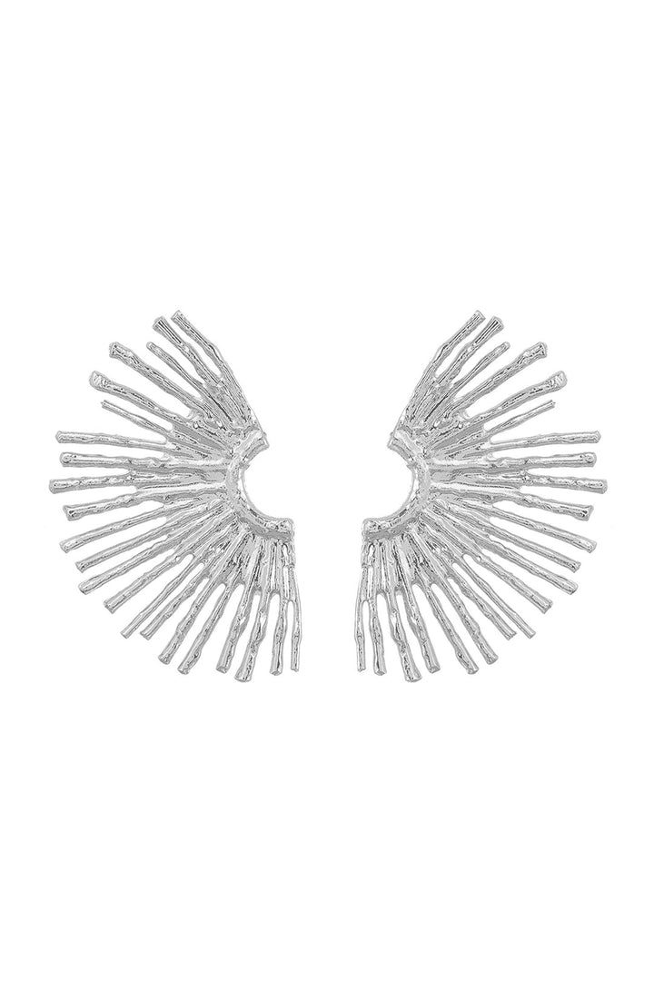 Metalinis auskarai su banginiu kraštu