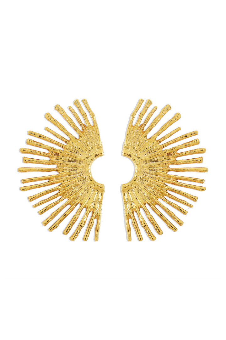 Metalinis auskarai su banginiu kraštu